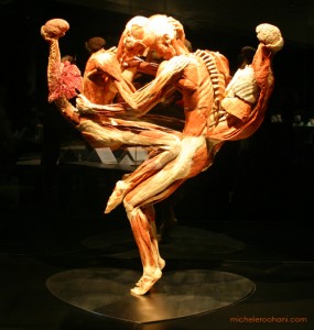 Featured image of post Dead Body Pose Reference Collection by mark lauren last updated 6 weeks ago